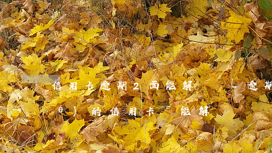 信用卡逾期2面能解凍嗎-逾期凍結(jié)的信用卡還能解凍嗎