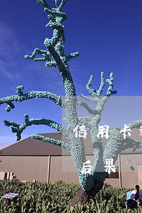 信用卡逾期30000多(信用卡逾期幾千塊后果)