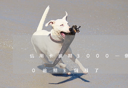 信用卡逾期3000一個月(信用卡20000逾期3個月了)