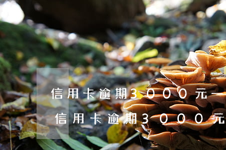 信用卡逾期3000元一個(gè)月了-信用卡逾期3000元一個(gè)月了怎么辦
