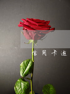 信用卡逾期3000元后果(信用卡3萬逾期)