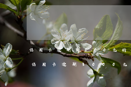 信用卡逾期3000元的會(huì)怎樣 信用卡逾期3000元的會(huì)怎樣處理