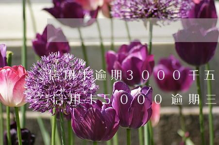 信用卡逾期3000千五個(gè)月未還(信用卡5000逾期三個(gè)月)