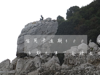信用卡逾期3000后果(3000的信用卡逾期几年了会被告吗)