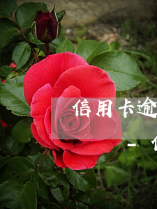 信用卡逾期3000多元會(huì)被起訴嗎-信用卡逾期3000多元會(huì)被起訴嗎知乎