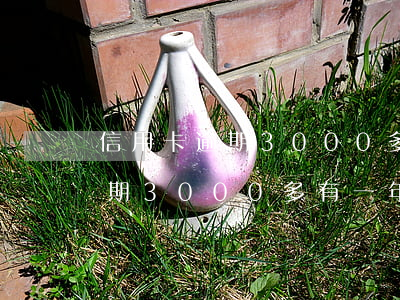 信用卡逾期3000多有一年了-信用卡逾期3000多有一年了怎么辦