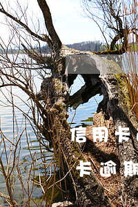 信用卡逾期3000多被起訴怎么辦-信用卡逾期3000多被起訴怎么辦呢
