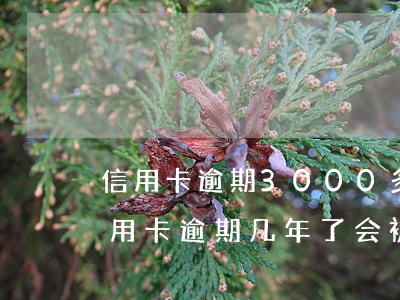 信用卡逾期3000多被起诉(3000的信用卡逾期几年了会被告吗)