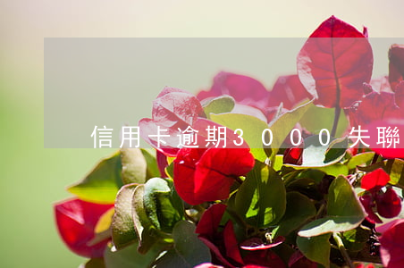信用卡逾期3000失聯(lián)
