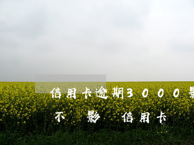 信用卡逾期3000影響車貸嗎(車貸逾期會不會影響信用卡)