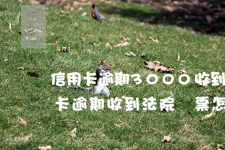 信用卡逾期3000收到法院傳票-欠信用卡逾期收到法院傳票怎么辦