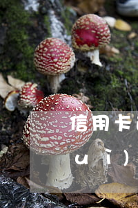 信用卡逾期3000會(huì)不會(huì)上門(mén)-信用卡2000逾期多久會(huì)上門(mén)