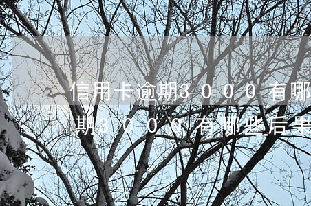 信用卡逾期3000有哪些后果-信用卡逾期3000有哪些后果呢