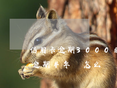 信用卡逾期3000的后果(信用卡3000逾期半年會怎么樣)