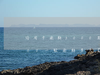 信用卡逾期3000能立案嗎(欠信用卡3000一般逾期多久會立案)