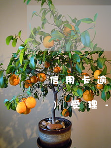 信用卡逾期3000被起訴法院會(huì)受理-信用卡逾期3000被起訴法院會(huì)受理嗎