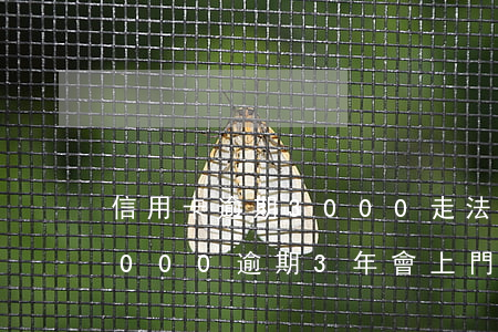 信用卡逾期3000走法律程序-信用卡3000逾期3年會上門嗎