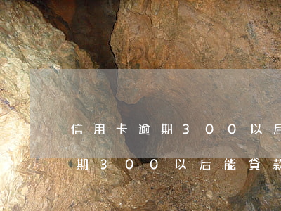信用卡逾期300以后能貸款嗎-信用卡逾期300以后能貸款嗎知乎