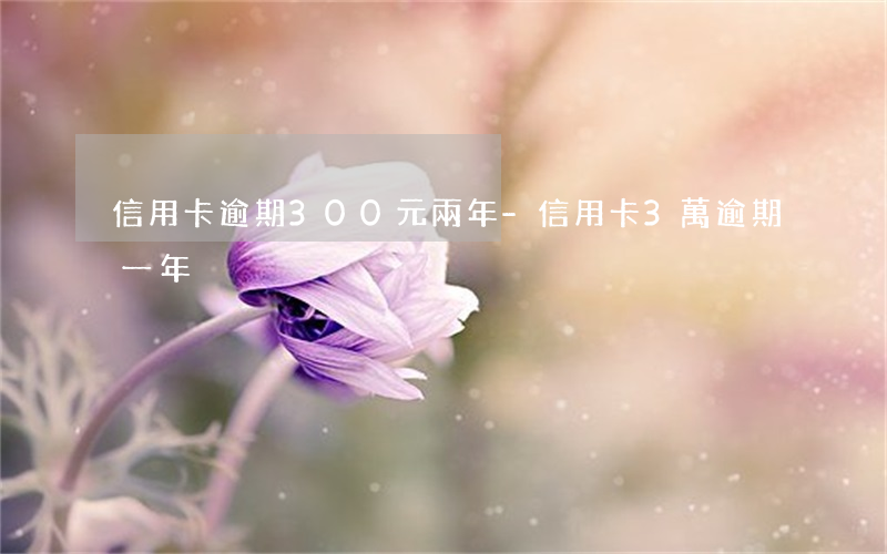 信用卡逾期300元兩年-信用卡3萬逾期一年