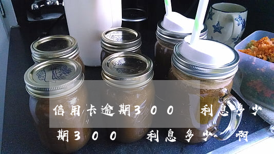 信用卡逾期300塊利息多少錢-信用卡逾期300塊利息多少錢啊