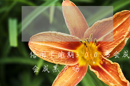 信用卡逾期300多会成黑户吗(逾期三个月会成黑户吗)