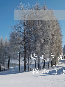 信用卡逾期300多(信用卡逾期300多块钱扣了8.92违约金)