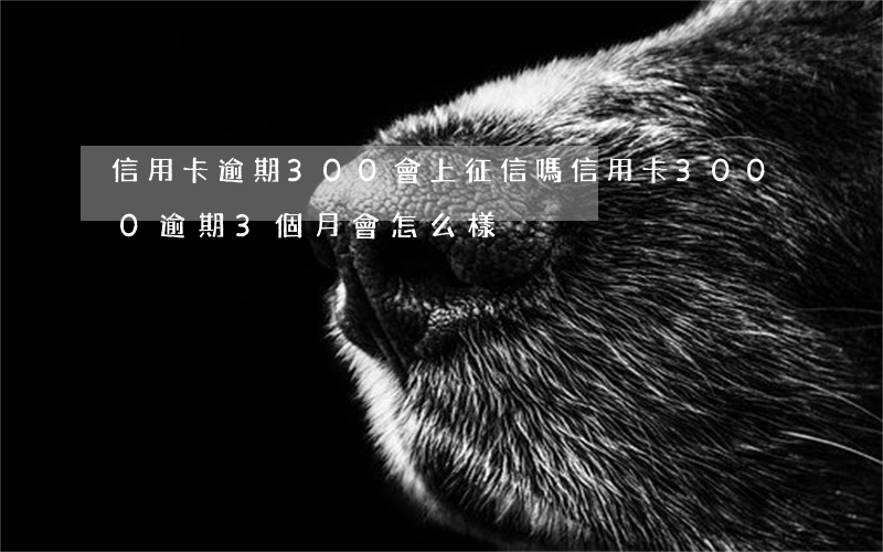 信用卡逾期300會上征信嗎(信用卡3000逾期3個月會怎么樣)