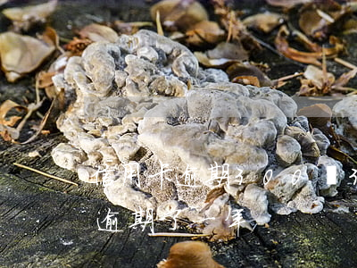 信用卡逾期300萬(3000額度的信用卡逾期了一年)