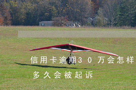 信用卡逾期30万会怎样(信用卡30万逾期多久会被起诉)