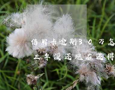 信用卡逾期30万怎么判 信用卡30万逾期三年没还现在还得还多少钱