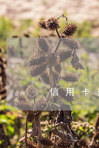 信用卡逾期30元要緊嗎