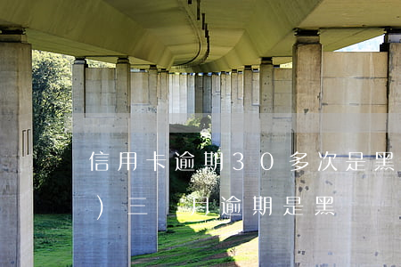 信用卡逾期30多次是黑戶嗎-連續(xù)三個月逾期是黑戶嗎