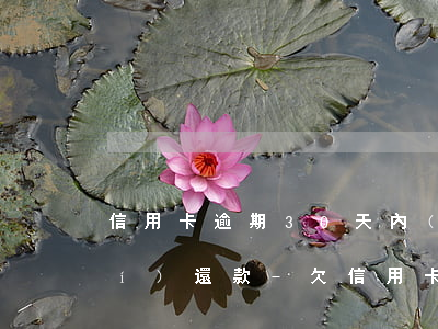 信用卡逾期30天內(nèi)及時(shí)還款-欠信用卡的錢逾期超過(guò)三個(gè)月