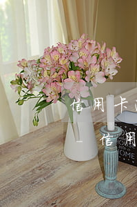 信用卡逾期30天內(nèi)可以撤銷嗎-信用卡逾期30天內(nèi)可以撤銷嗎怎么辦