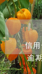 信用卡逾期30天內(nèi)提額(信用卡逾期30天內(nèi)提額)