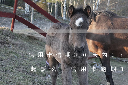 信用卡逾期30天內(nèi)還清還會被起訴么-信用卡逾期30天內(nèi)還清還會被起訴么嗎