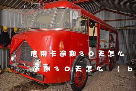 信用卡逾期30天怎么補(bǔ)救(信用卡逾期30天怎么補(bǔ)救)