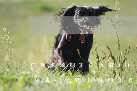 信用卡逾期30天會(huì)打電話給家人嗎-信用卡逾期30天會(huì)打電話給家人嗎怎么辦