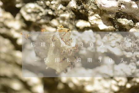 信用卡逾期30天會(huì)有什么影響-信用卡逾期30天會(huì)有什么影響么