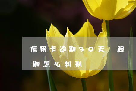 信用卡逾期30天會起訴嗎(30萬信用卡逾期怎么判刑)