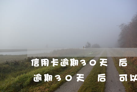 信用卡逾期30天還后還可以用嗎-信用卡逾期30天還后還可以用嗎有影響嗎