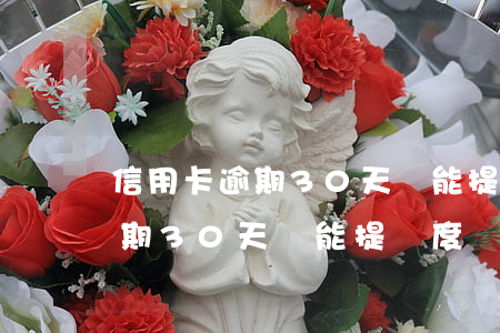 信用卡逾期30天還能提額度嗎-信用卡逾期30天還能提額度嗎為什么