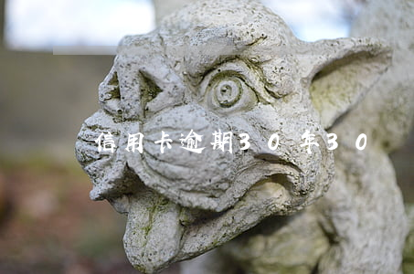 信用卡逾期30年(30萬信用卡逾期)