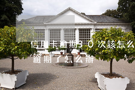 信用卡逾期30次該怎么處理(信用卡300逾期了怎么辦)
