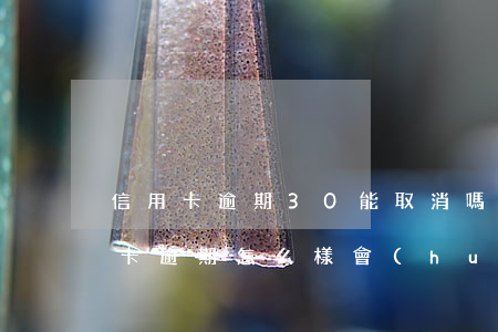 信用卡逾期30能取消嗎-征信上面的信用卡逾期怎么樣會(huì)取消