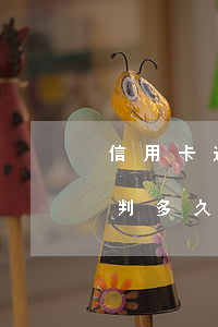 信用卡逾期30萬(wàn)會(huì)判多久(信用卡30000逾期后果)