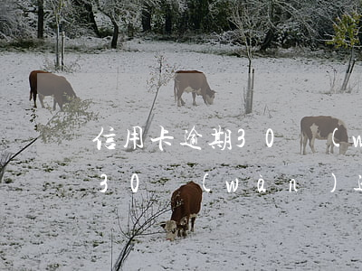 信用卡逾期30萬(wàn)還不起(信用卡30萬(wàn)逾期兩個(gè)月,還不起了)