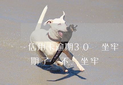 信用卡逾期30萬坐牢嗎(信用卡欠兩三萬逾期了會不會坐牢)