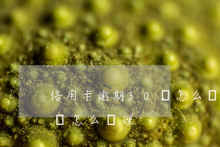 信用卡逾期30萬怎么處理(信用卡逾期30萬怎么處理)