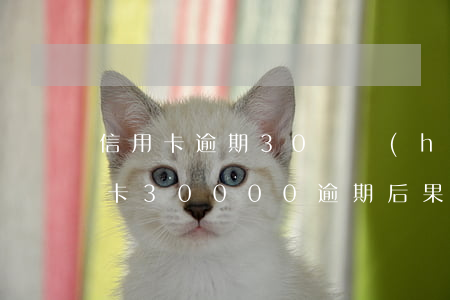 信用卡逾期30萬會(huì)判多久(信用卡30000逾期后果)